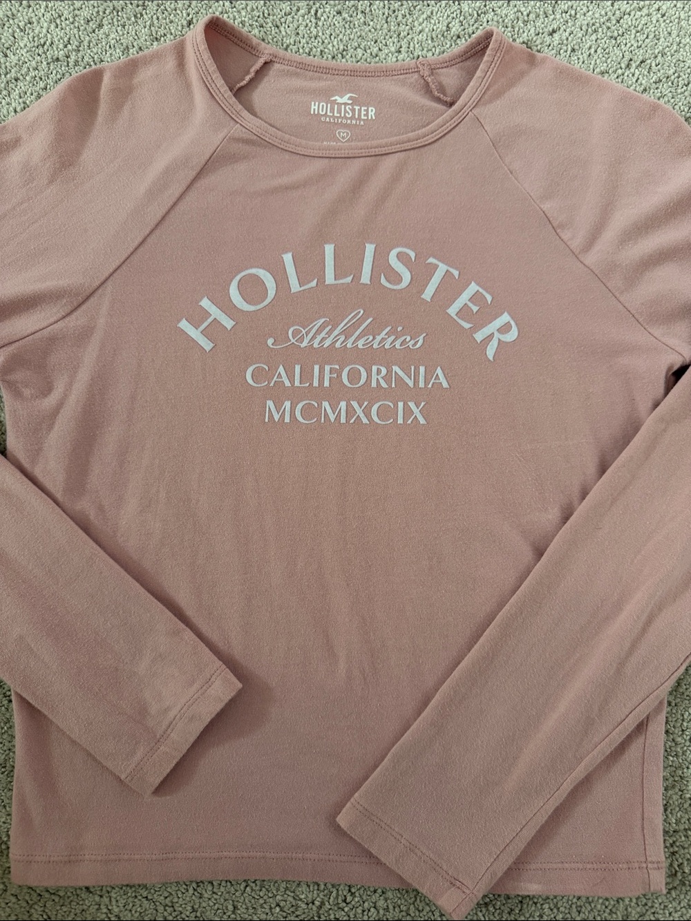 Hollister Soft Rose Long-Sleeve Graphic Pullover